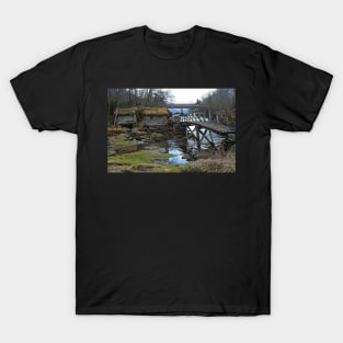 Troll Bridge? T-Shirt